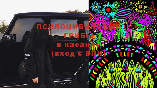 марки nbome Богданович