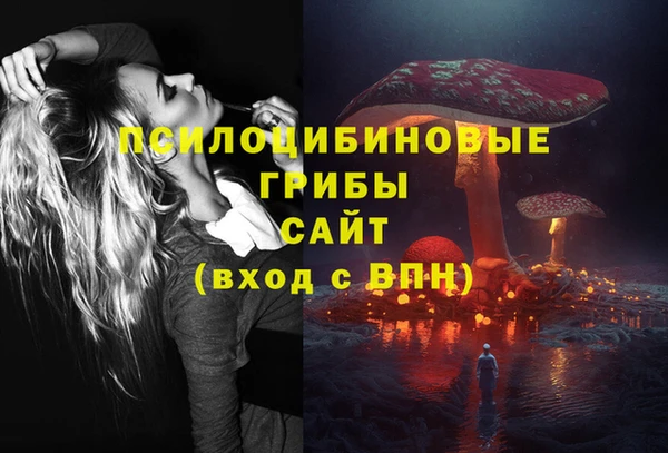 спиды Тобольск
