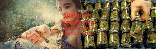 марки nbome Богданович