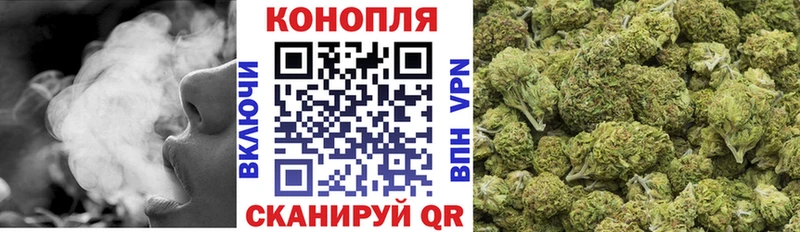 Бошки Шишки сатива  Междуреченск 